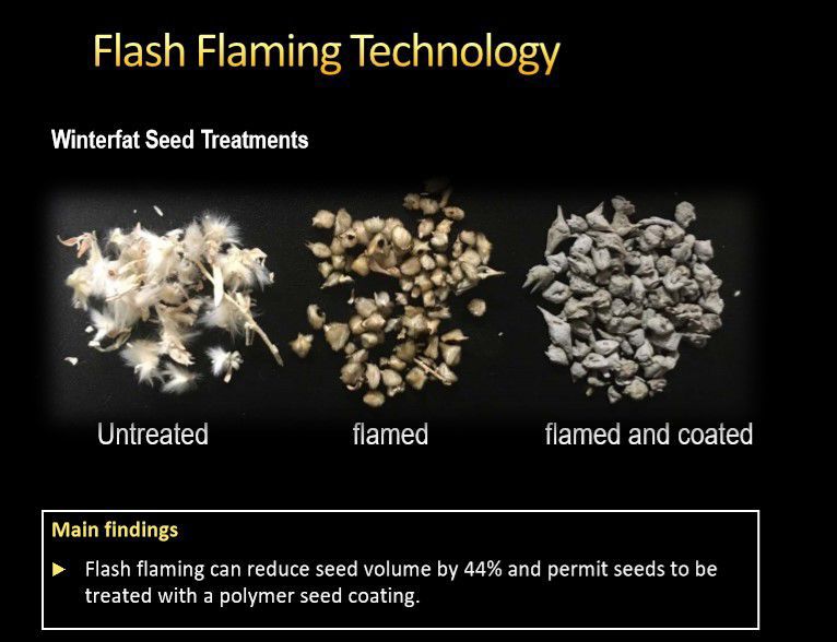Sagebrush restoration -Flaming technology